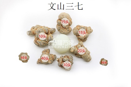 20頭及其他頭數(shù)三七